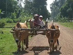 In der Provinz Kratie