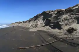 Moss Landing State Beach