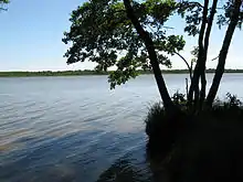 Sarbsker See