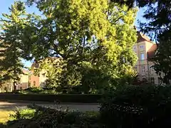 Schloss Barby