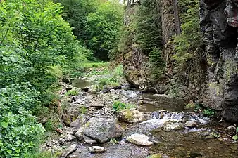 Steinachklamm im Sommer