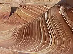 The Wave