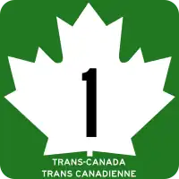 T1