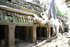 Ta Prohm