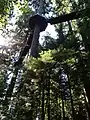 Treetops Adventure