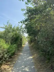 Weg bei Bredene-Bad