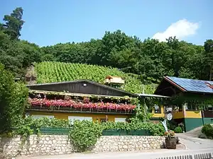 Weinstube Riedl in Kruckenberg